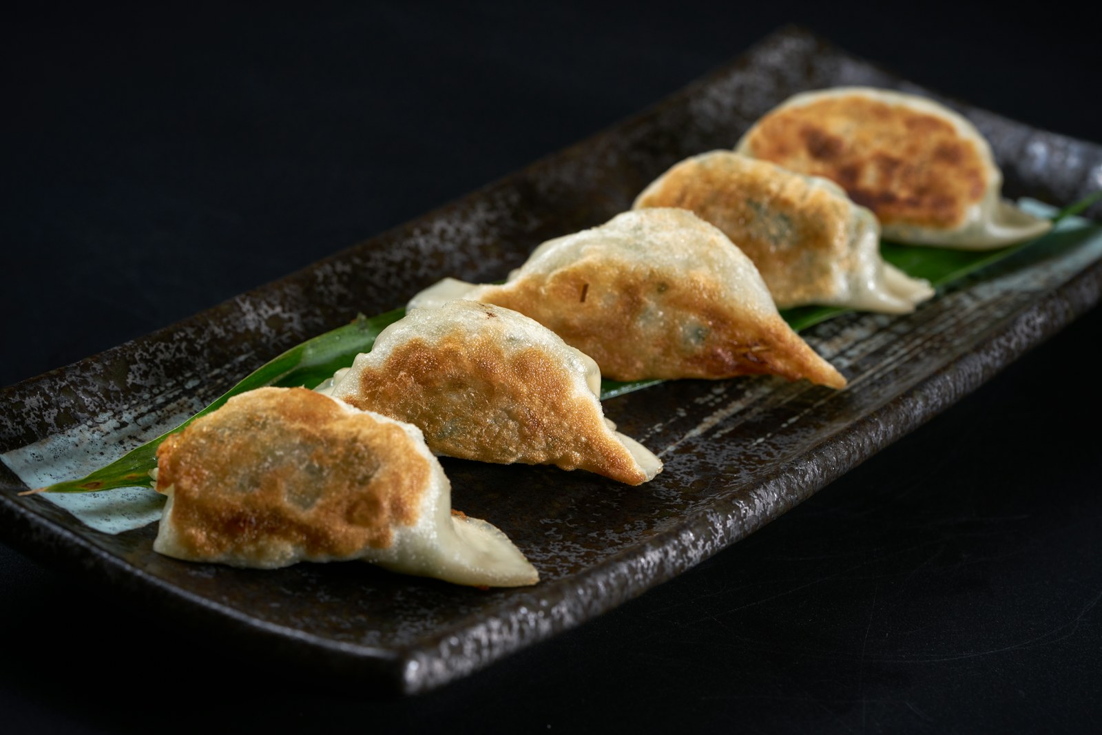 Pan-fried gyoza dumplings browned on top